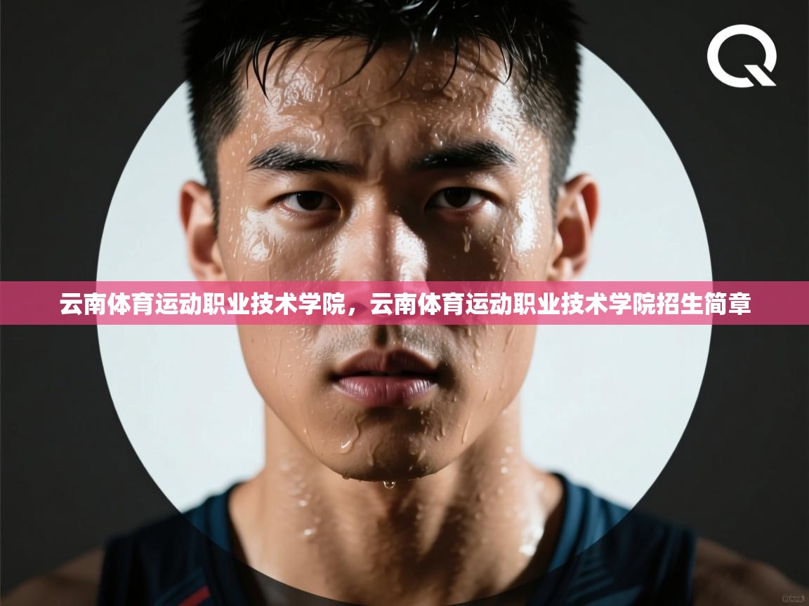 开云体育app-云南体育运动职业技术学院,云南体育运动职业技术学院招生简章 第3张