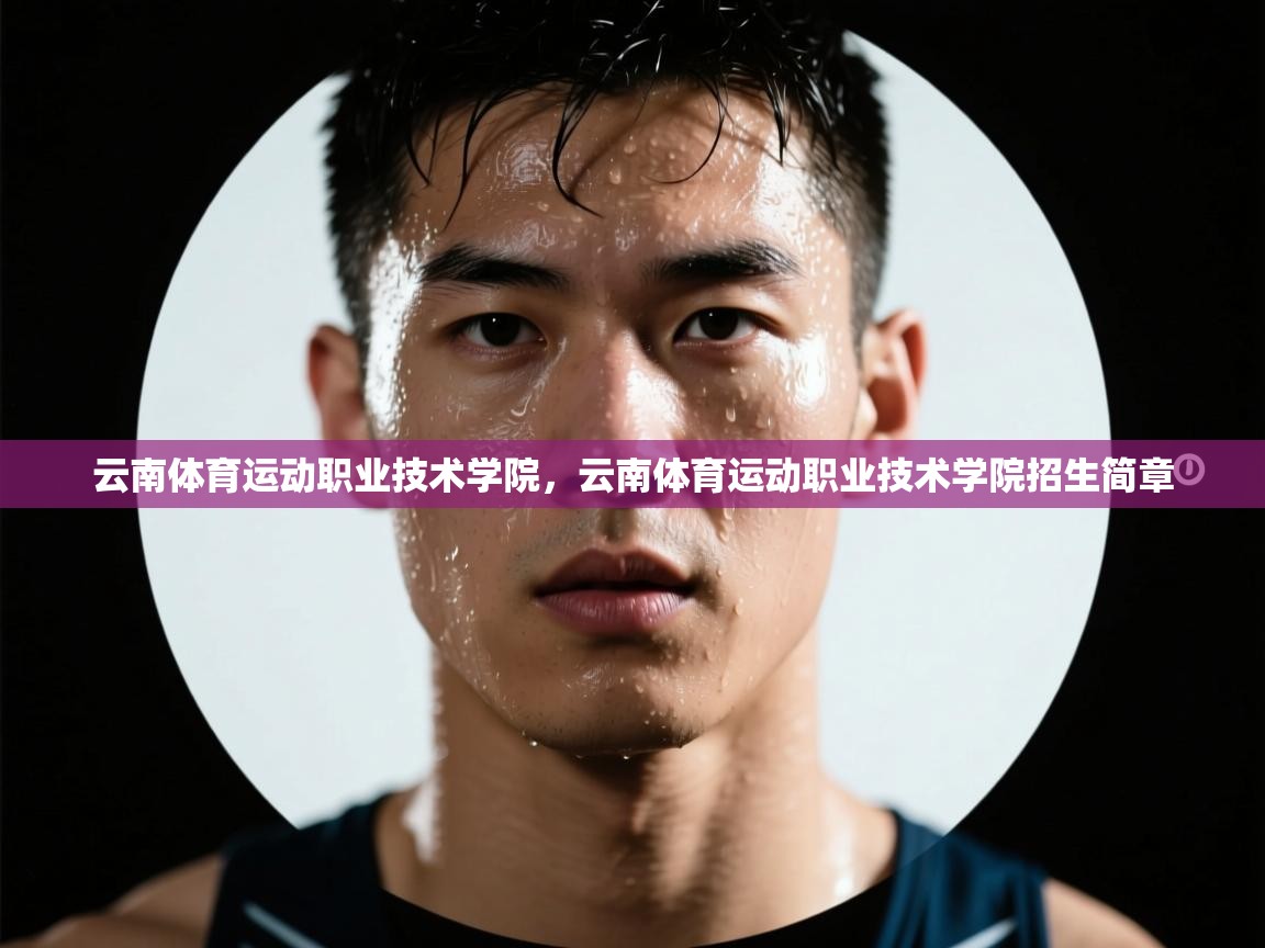 开云体育app-云南体育运动职业技术学院,云南体育运动职业技术学院招生简章 第4张