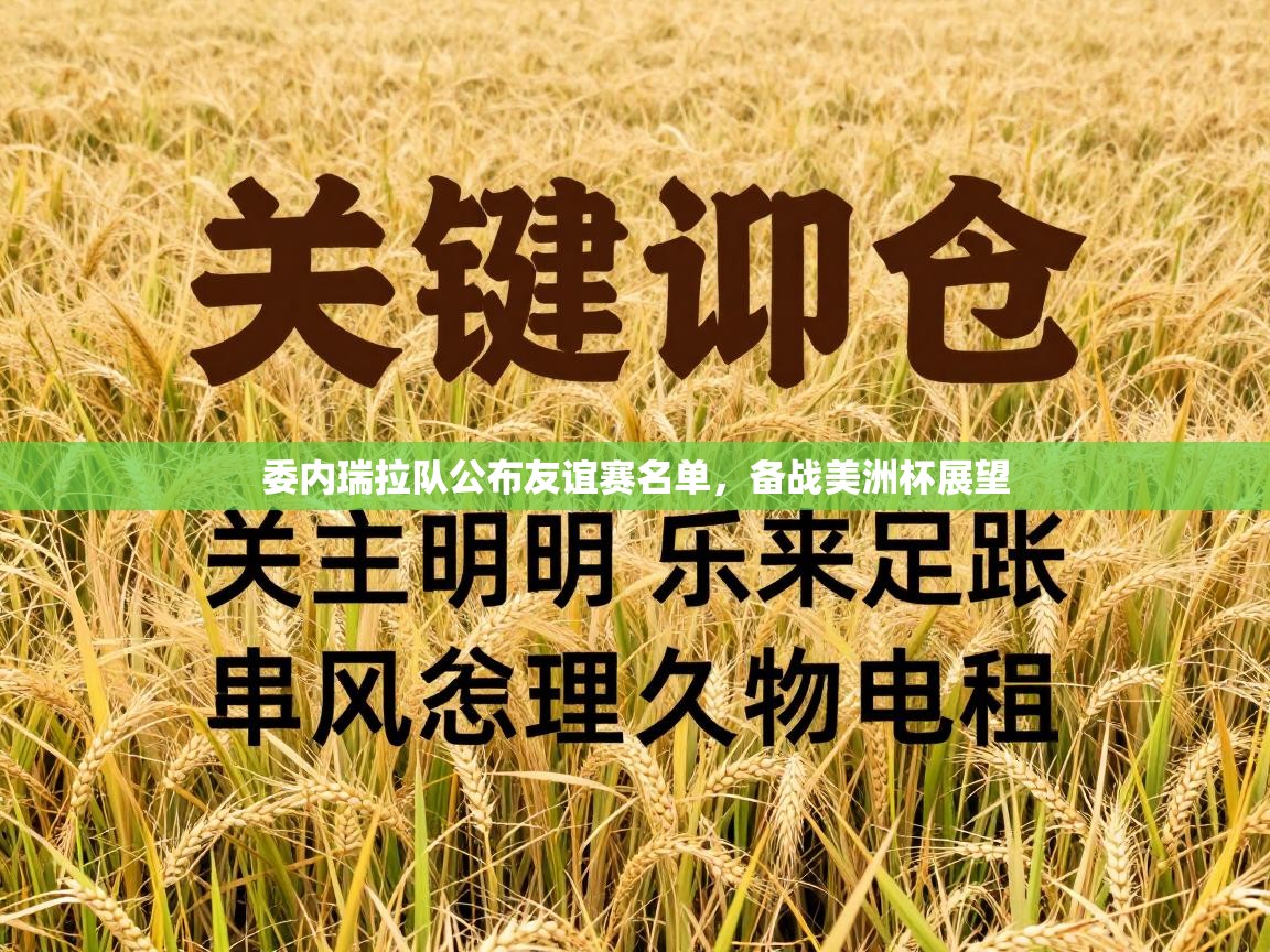 开云体育VIP权益说明-委内瑞拉队公布友谊赛名单，备战美洲杯展望  第3张