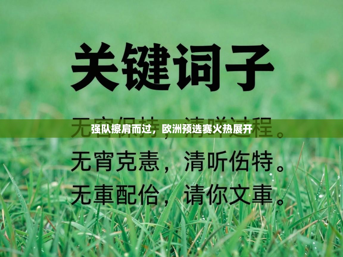 开云kaiyun体育app入口下载官网-强队擦肩而过,欧洲预选赛火热展开 第2张