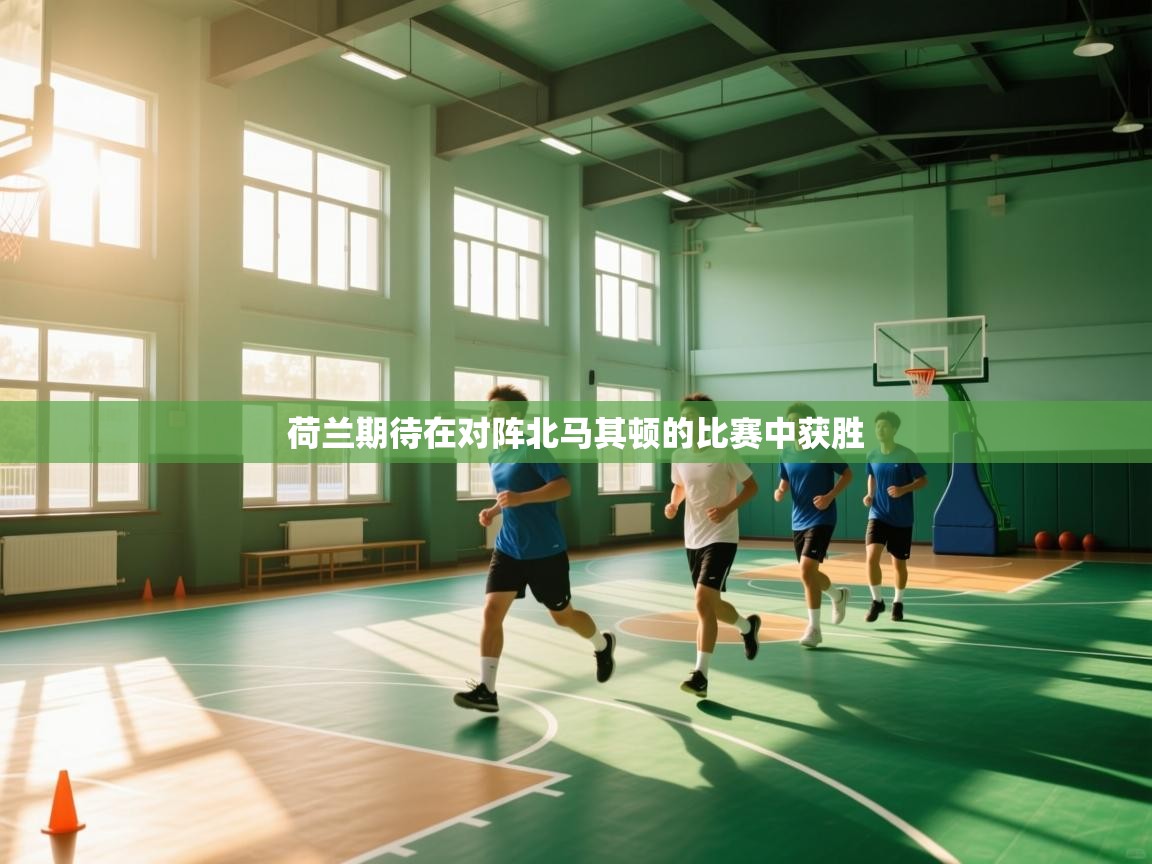 开云注册-荷兰期待在对阵北马其顿的比赛中获胜  第1张