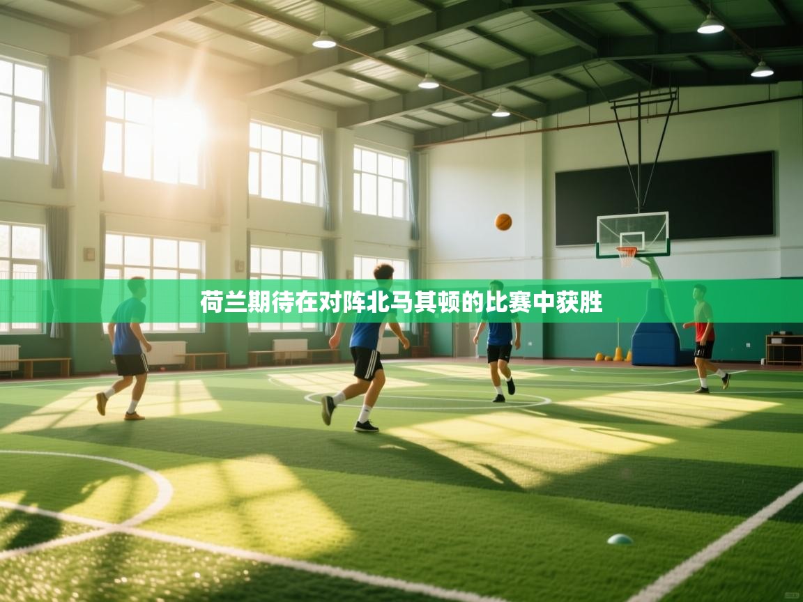 开云注册-荷兰期待在对阵北马其顿的比赛中获胜  第2张