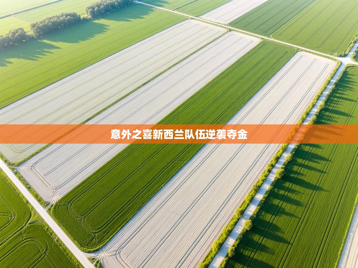 开云体育在线入口-意外之喜新西兰队伍逆袭夺金 第3张