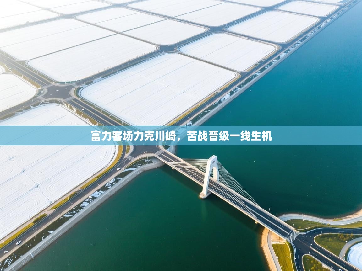 开云体育iOS安装教程-富力客场力克川崎，苦战晋级一线生机  第2张