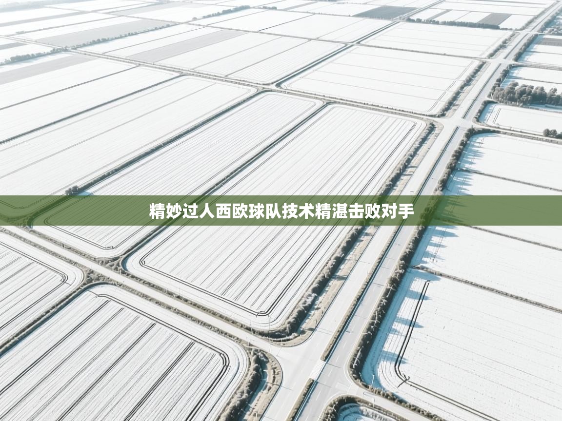 开云体育夜间模式开启-精妙过人西欧球队技术精湛击败对手  第2张