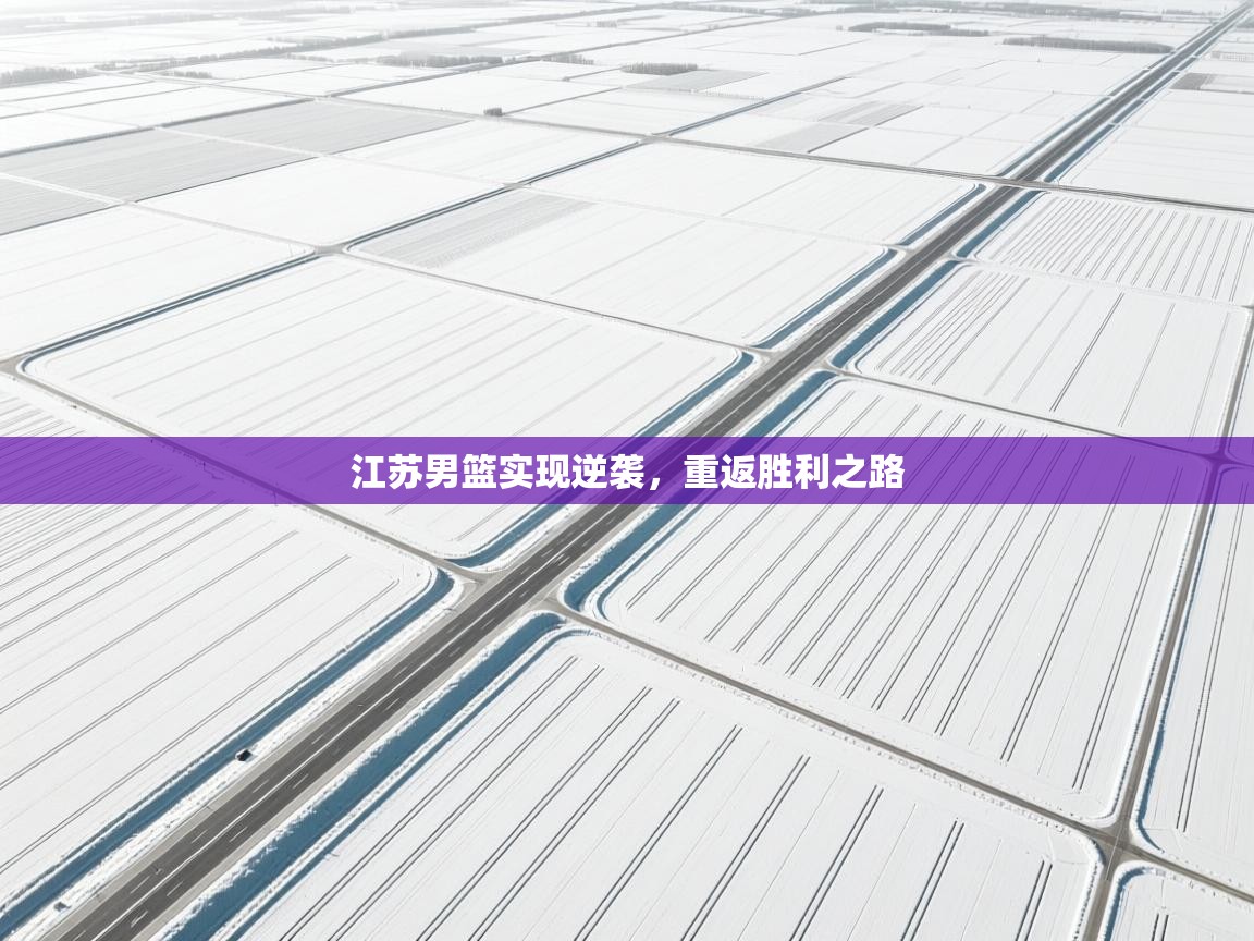 开云体育客服在线咨询-江苏男篮实现逆袭，重返胜利之路  第4张