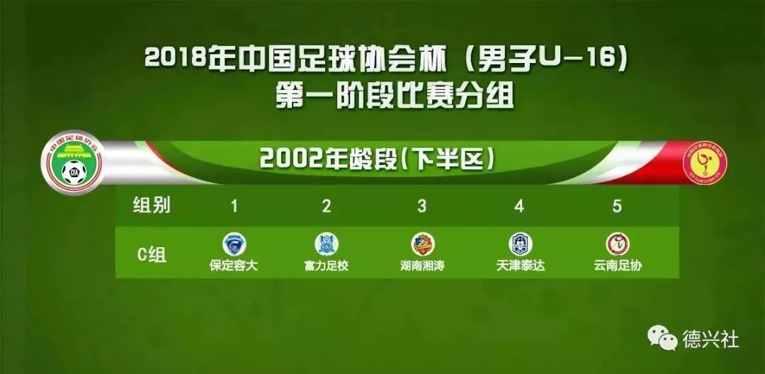 泰达vs富力：实力对比，关注比赛结果